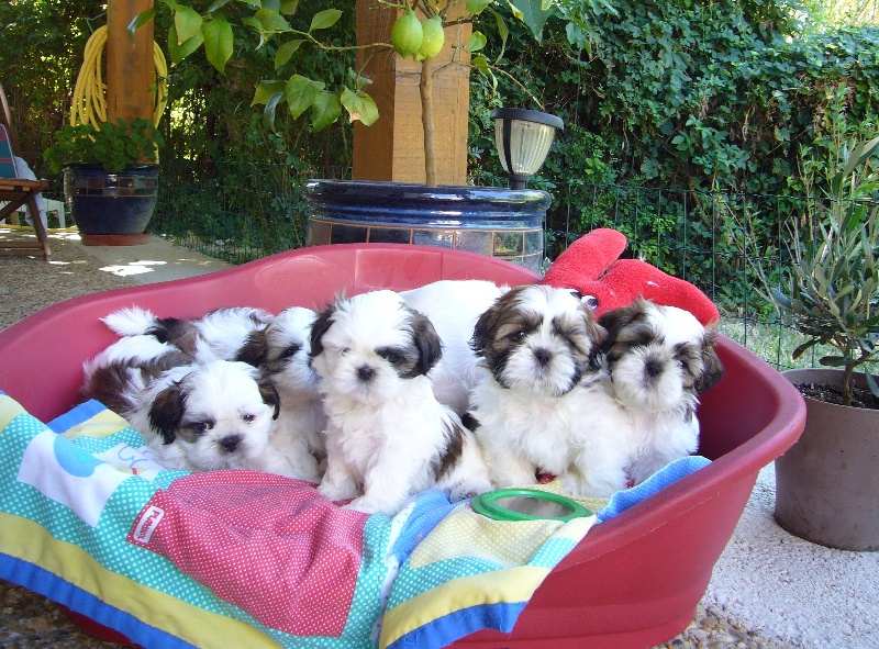 Les bébés d'E'Luna