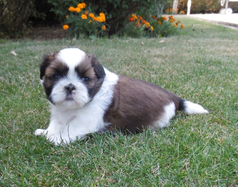 Bébés de HOLLY